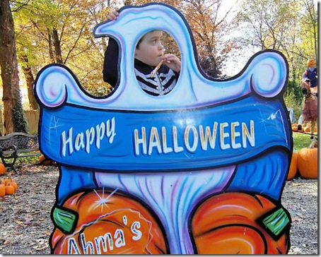 15614-vi