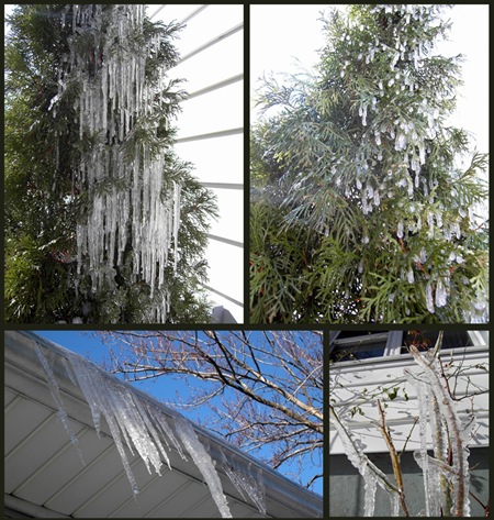 Ice